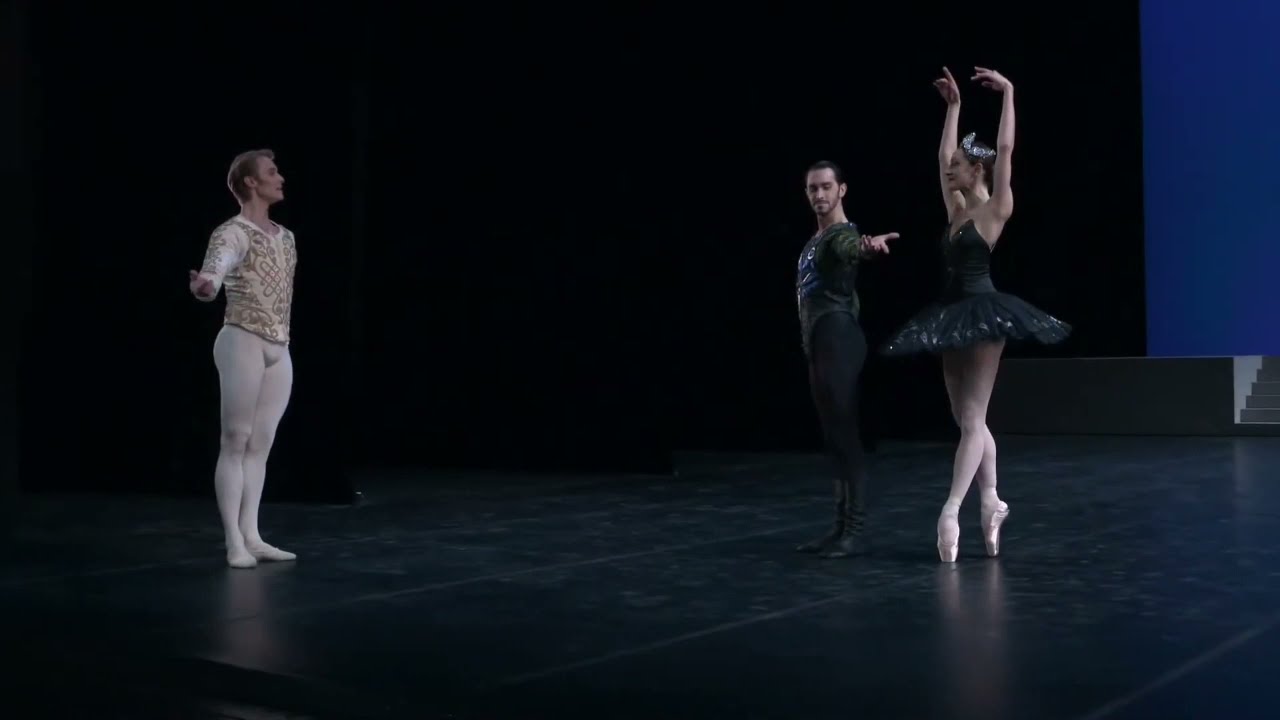 Assolo Rothbart e coda Lago dei cigni terzo atto Nureyev