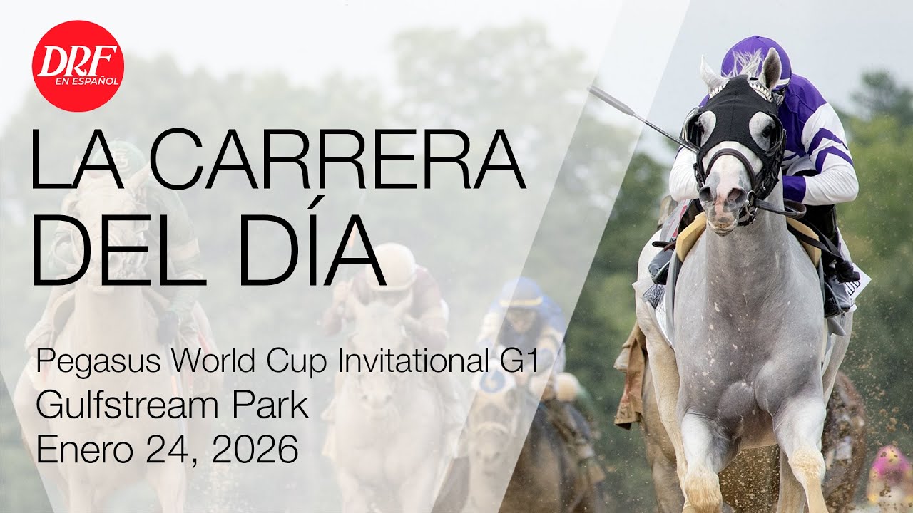 La Carrera del Día - Gulfstream Park - Enero 24
