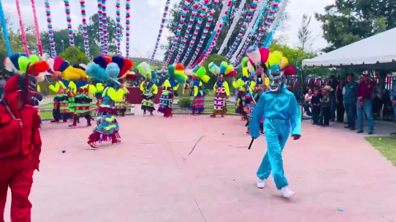 MATLACHINES DE AGUASCALIENTES DE J.JES&Uacute;S V&Aacute;ZQUEZ MONTES LOS 