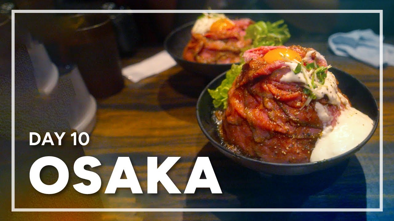 Shinkansen to Osaka & teamLab Botanical Garden! | Day 10 of 28 &ndash; Japan Travel 🇯🇵