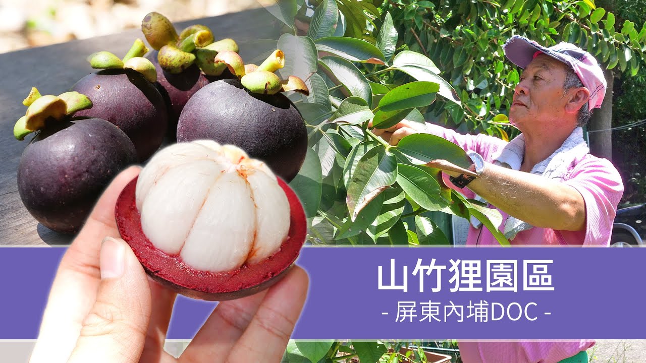 【內埔】山竹狸園區