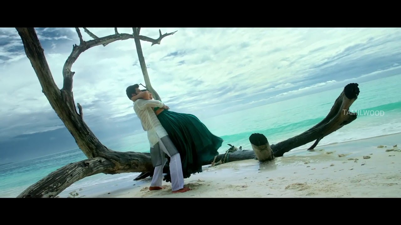 mughaiyazhi whatsapp status | Boomerang song | megha akash | #Tamilwood