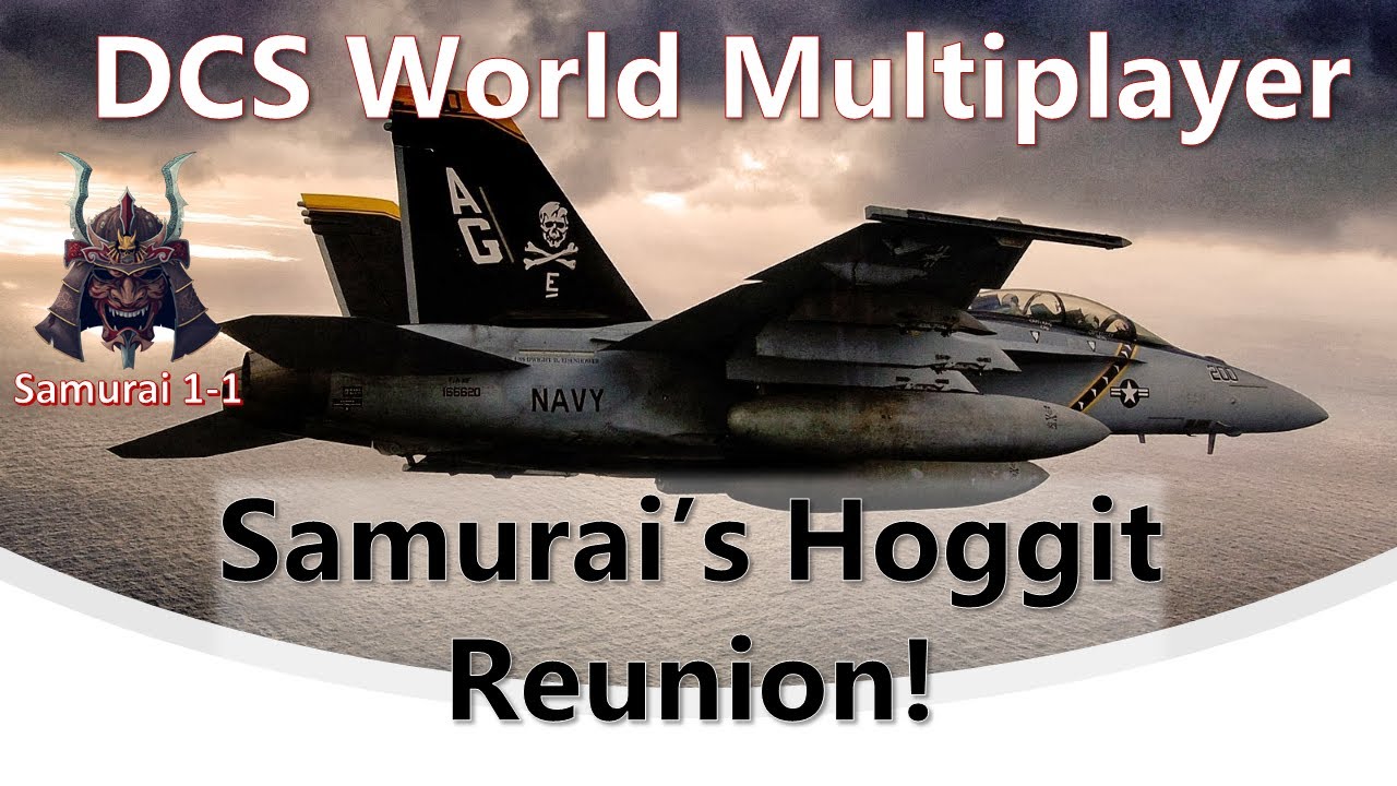 Samurai's Hoggit Reunion