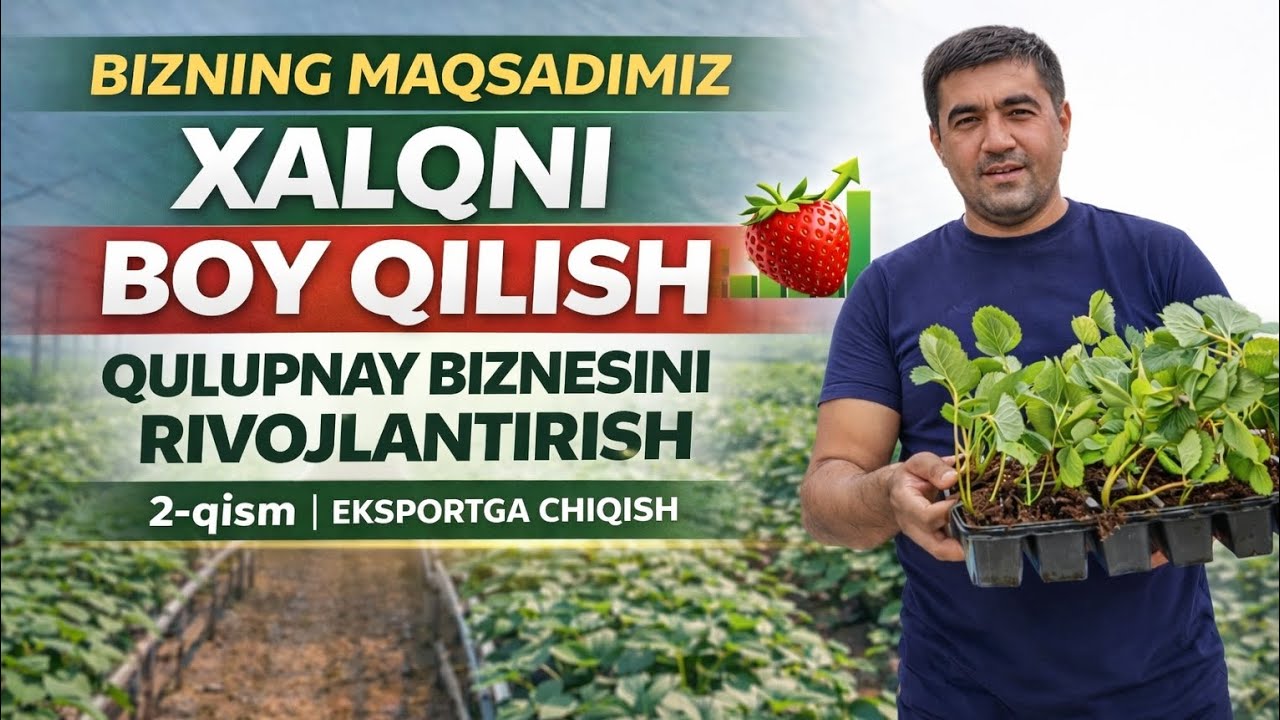 QULUPNAY BIZNESINI RIVOJLANTIRISH MAQSADIMIZ #agro #alba #garden #qulupnay #rek 