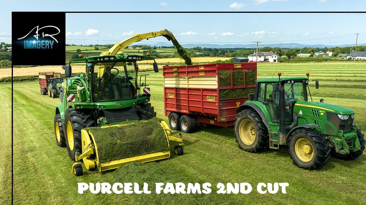 Purcell Farms Second Cut Silage
