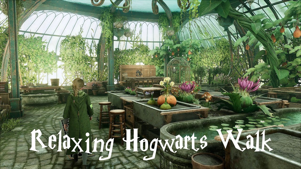 Relaxing Walk From Herbology Class to Slytherin Common Room | Hogwarts Legacy (ambience)