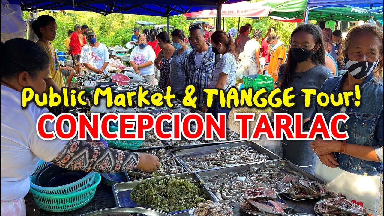 Fantastic Market Day in CONCEPCION TARLAC | Filipino Wet Market + TIANGGE Tour in Tarlac Philippines