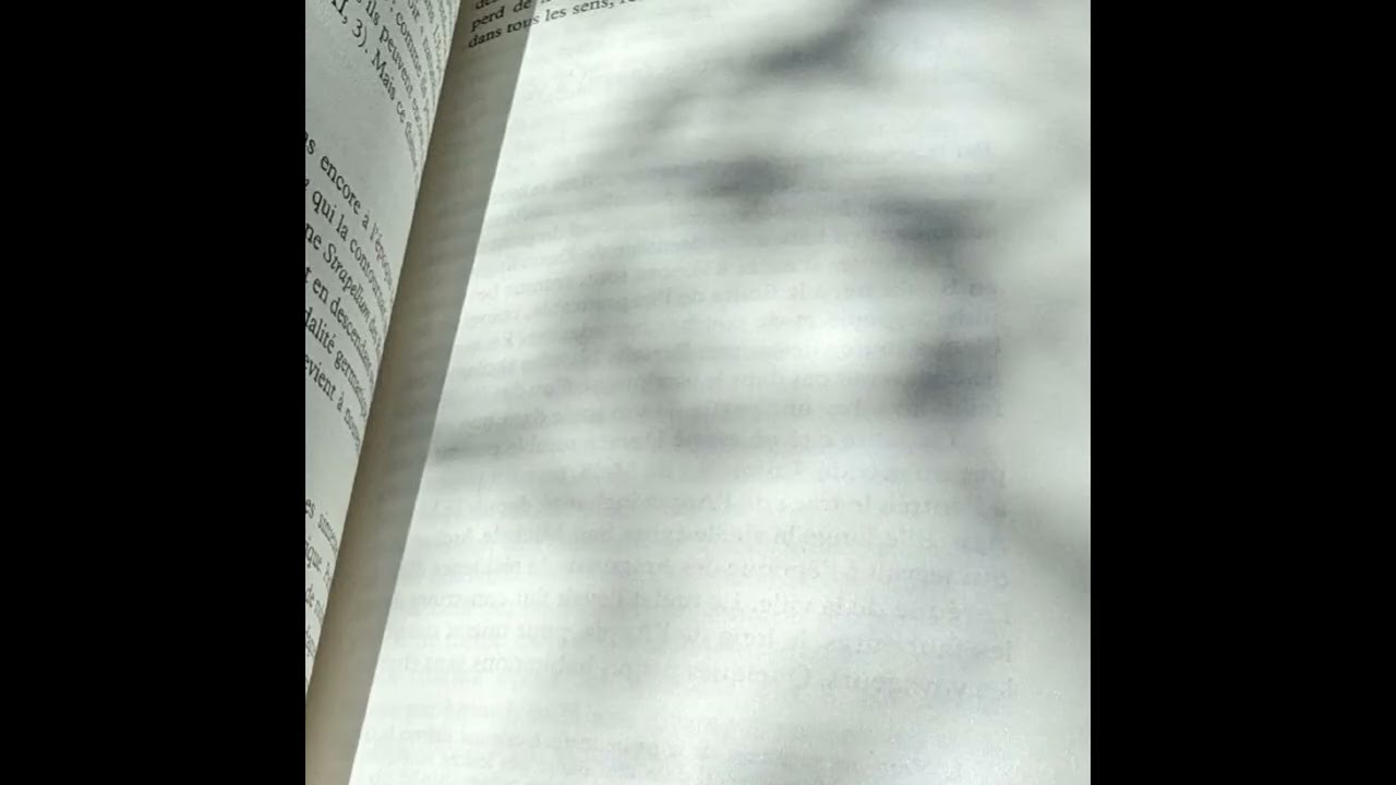 Anabase - Echo ex planade