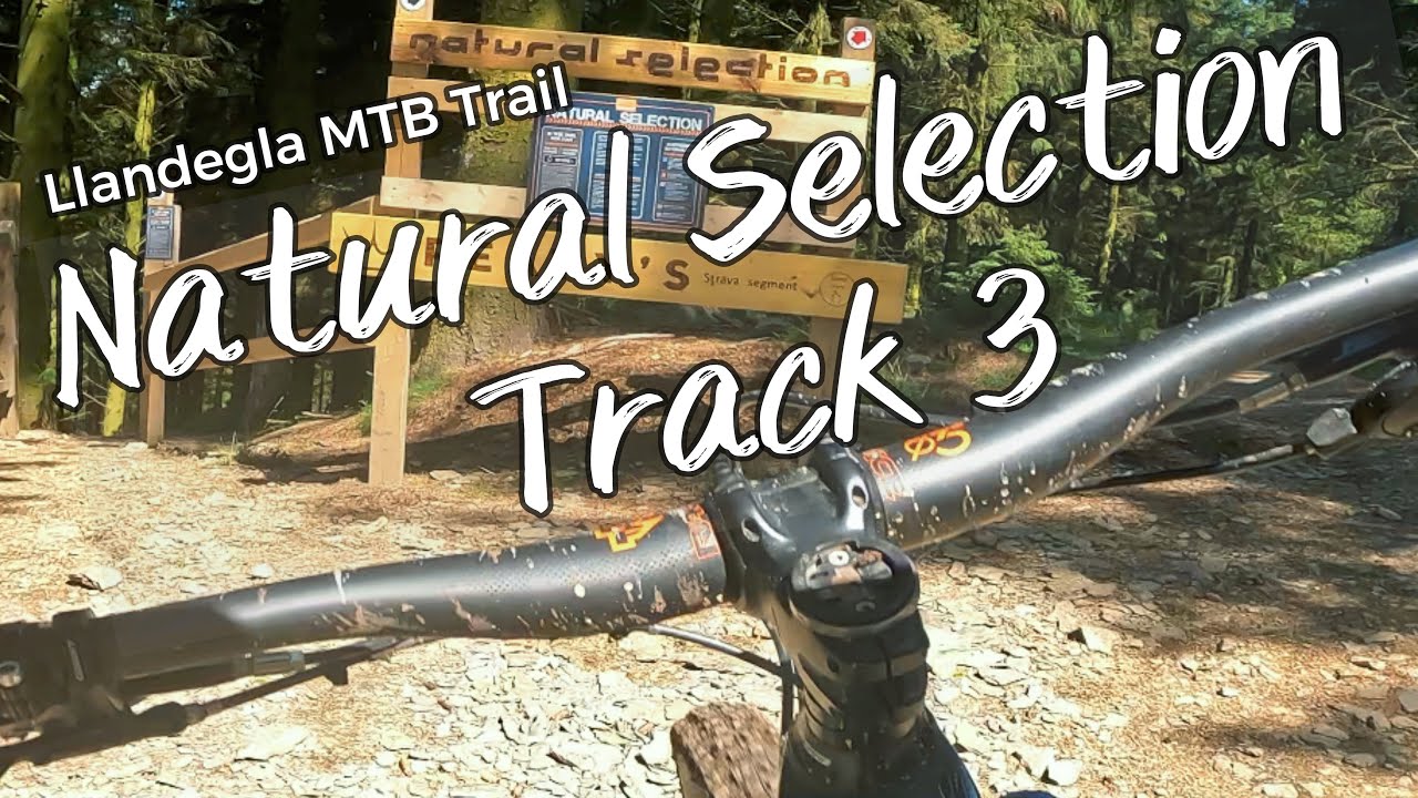 Llandegla Track 3 - NEW Black Trail - Natural Selection - Off piste track. #mtb #enduromtb #strava