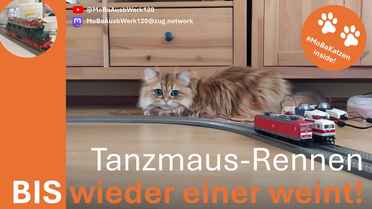 Tanzmaus-Wettrennen zwischen Urgro&szlig;vater 212 001 und Ur-Enkel 112.1