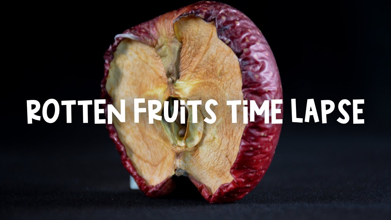 Fruit Time Lapse Video | Rotten Fruit Time-Lapse | Development of Mold | Just For Fun