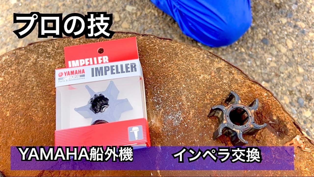 【YAMAHA船外機　インペラ交換】