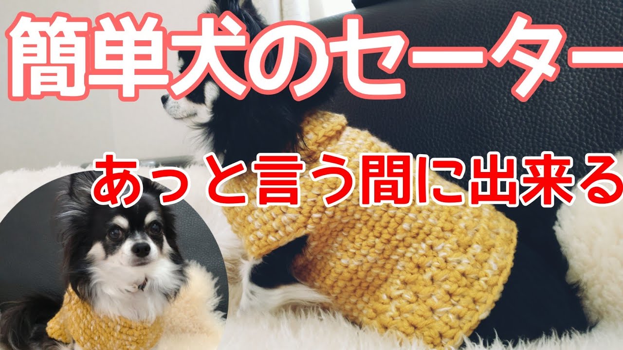 【かぎ針犬用セーター】極太毛糸で簡単なのに可愛い立体的な犬服 100均毛糸シフォンムースでネックから編む犬のセーター