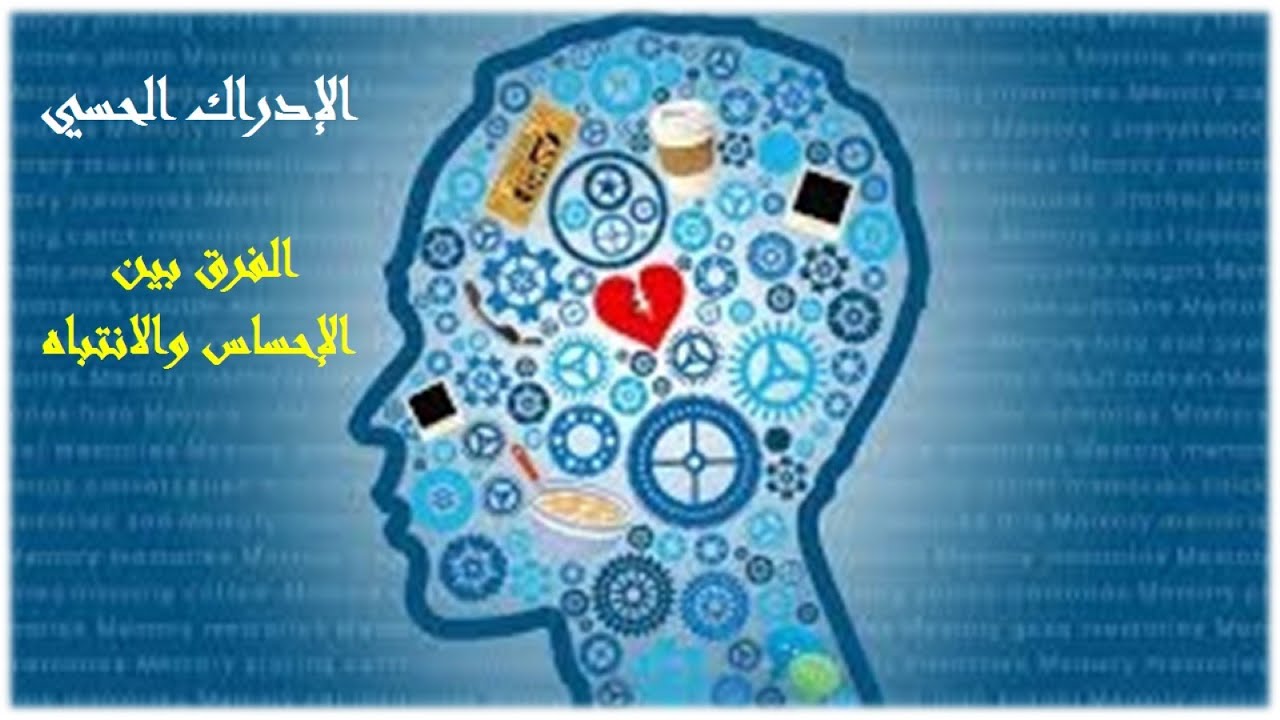 3- العمليات العقلية المعرفية اللازمة للإدراك - الإحساس والانتباه والفرق بينهم