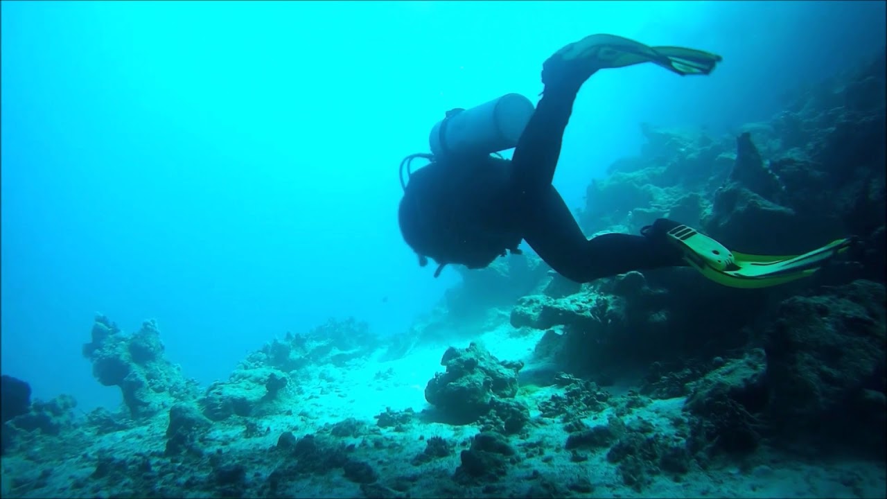 Viva Blue Resort - Tauchurlaub - Salem Express