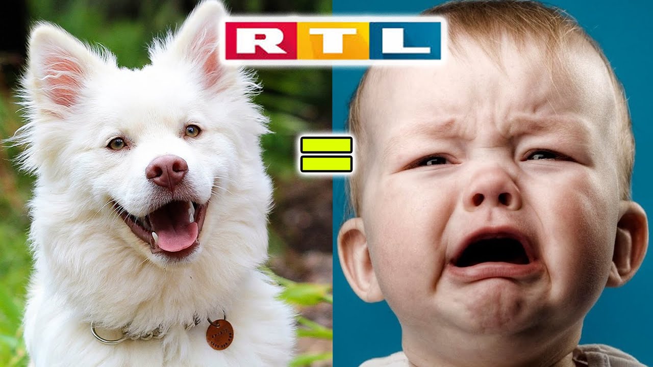 SKANDAL! RTL vergleicht KINDER mit HUNDEN! | Train your Baby like a Dog!