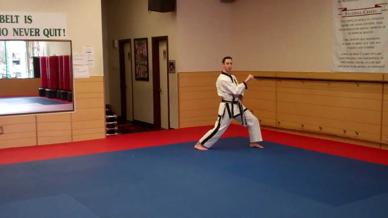 Warren Levi Karate- Jion (Instructional)