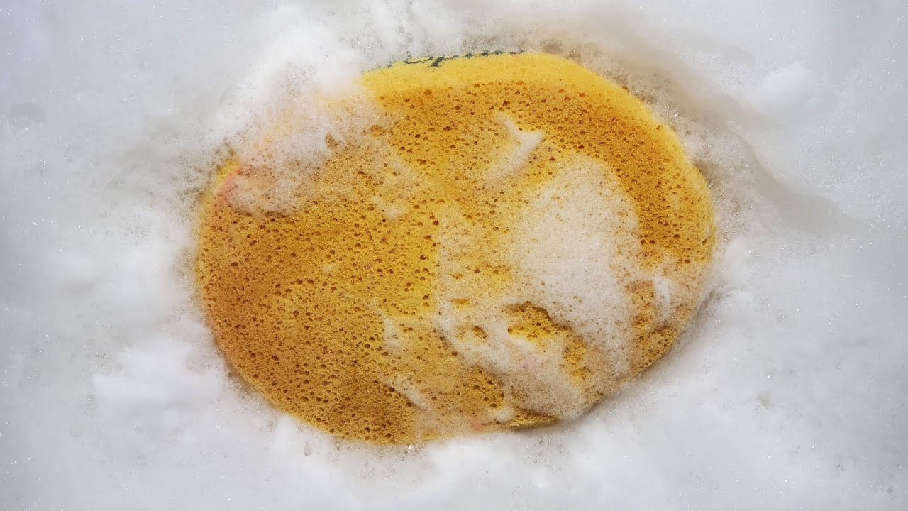 ASMR - Paste Sponge Squeeze Rinse