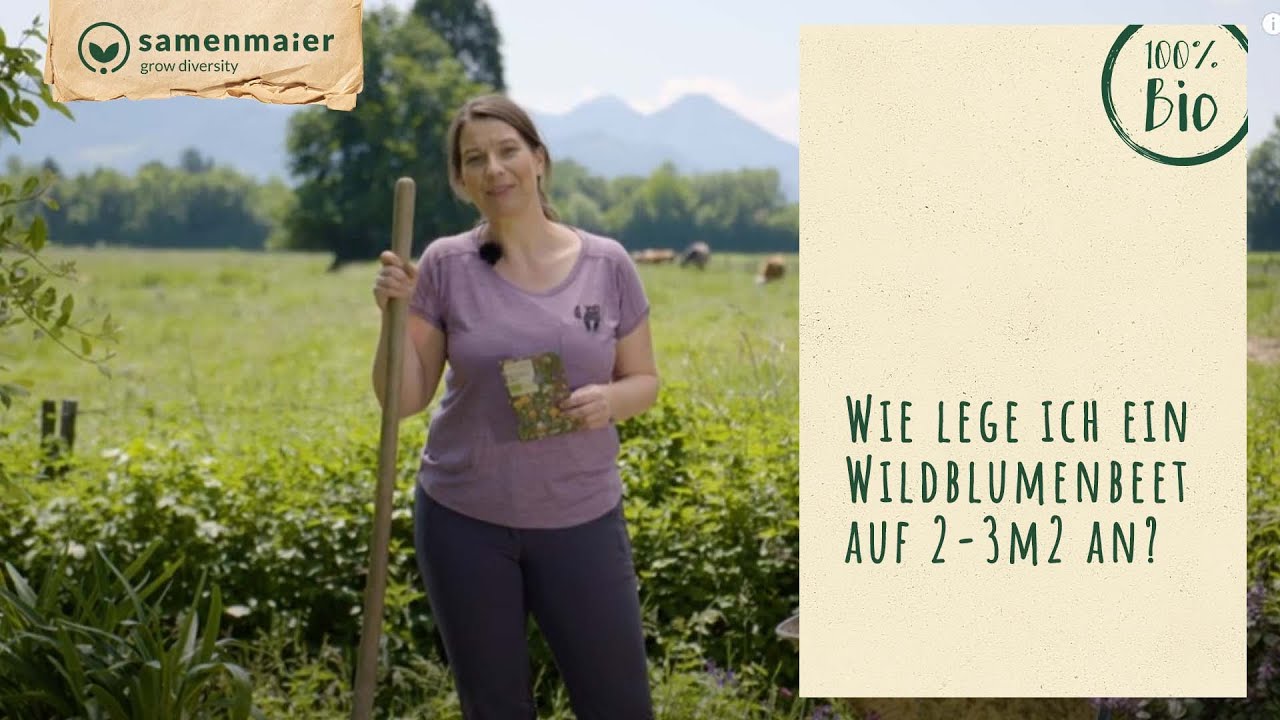 Wie lege ich ein Wildblumenbeet auf 2 - 3 m2 an | - Wilde Blüten | Samen Maier |