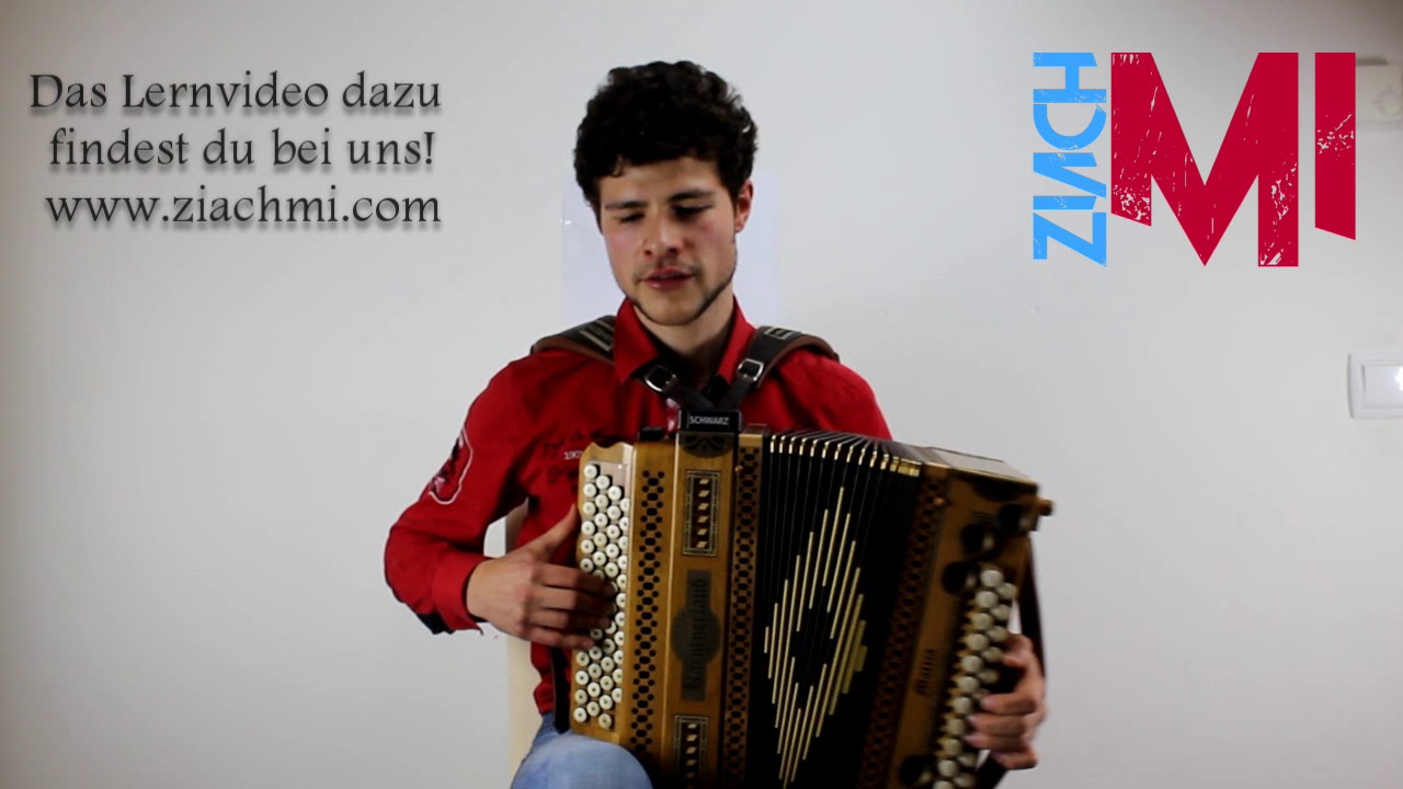 Queen - Don't Stop Me Now (Cover Steirische Harmonika)
