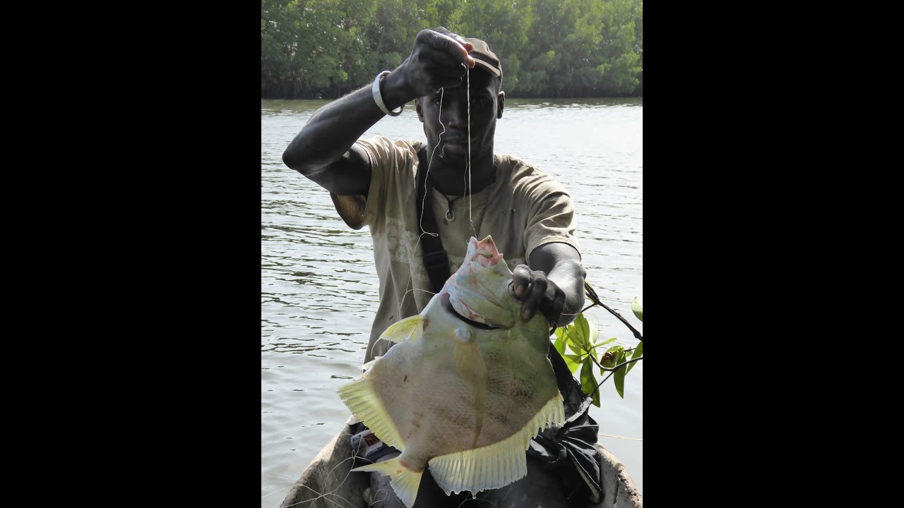 Casamance