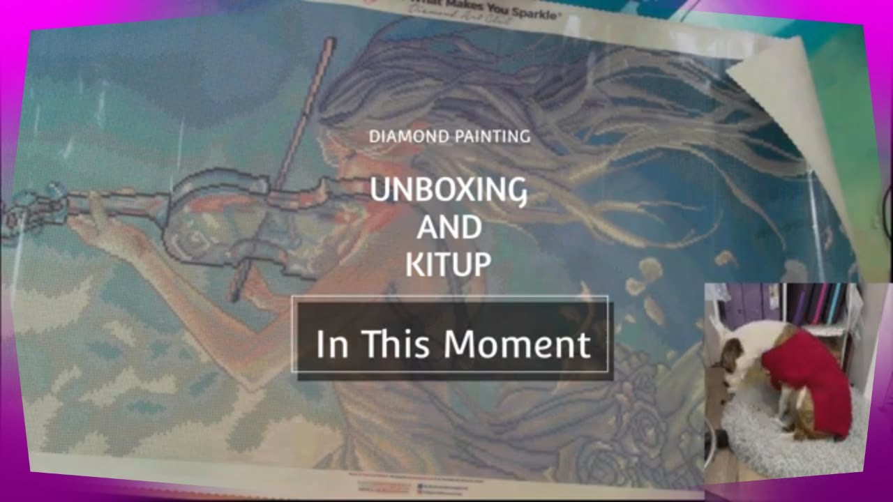 004 DAC unboxing.  In This Moment