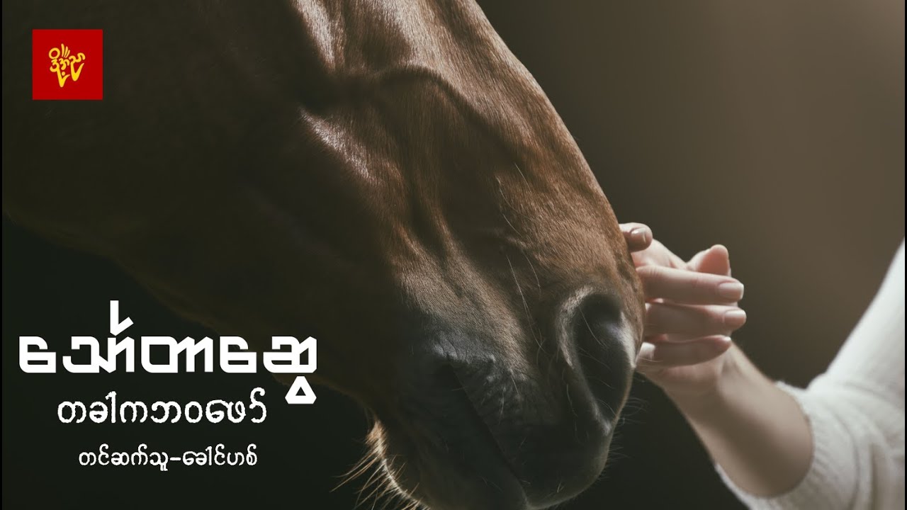 တခါကဘဝဖော်   #သော်တာဆွေ   တင်ဆက်သူ-ခေါင်ဟစ်