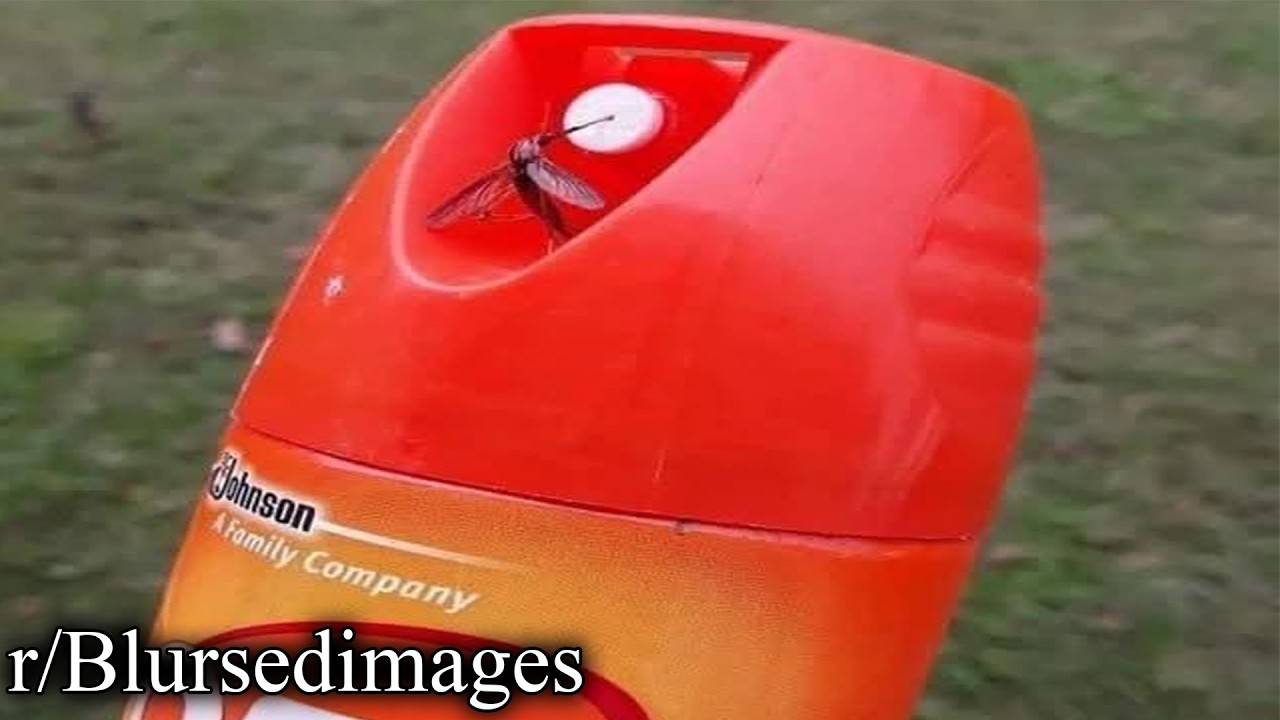 r/Blursedimages | natural selection