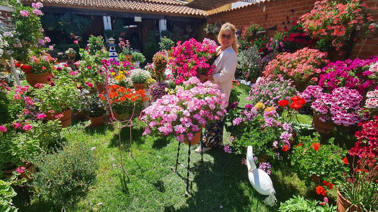 ¡Acompañame! Te enseño mi hermoso jardín. 💐