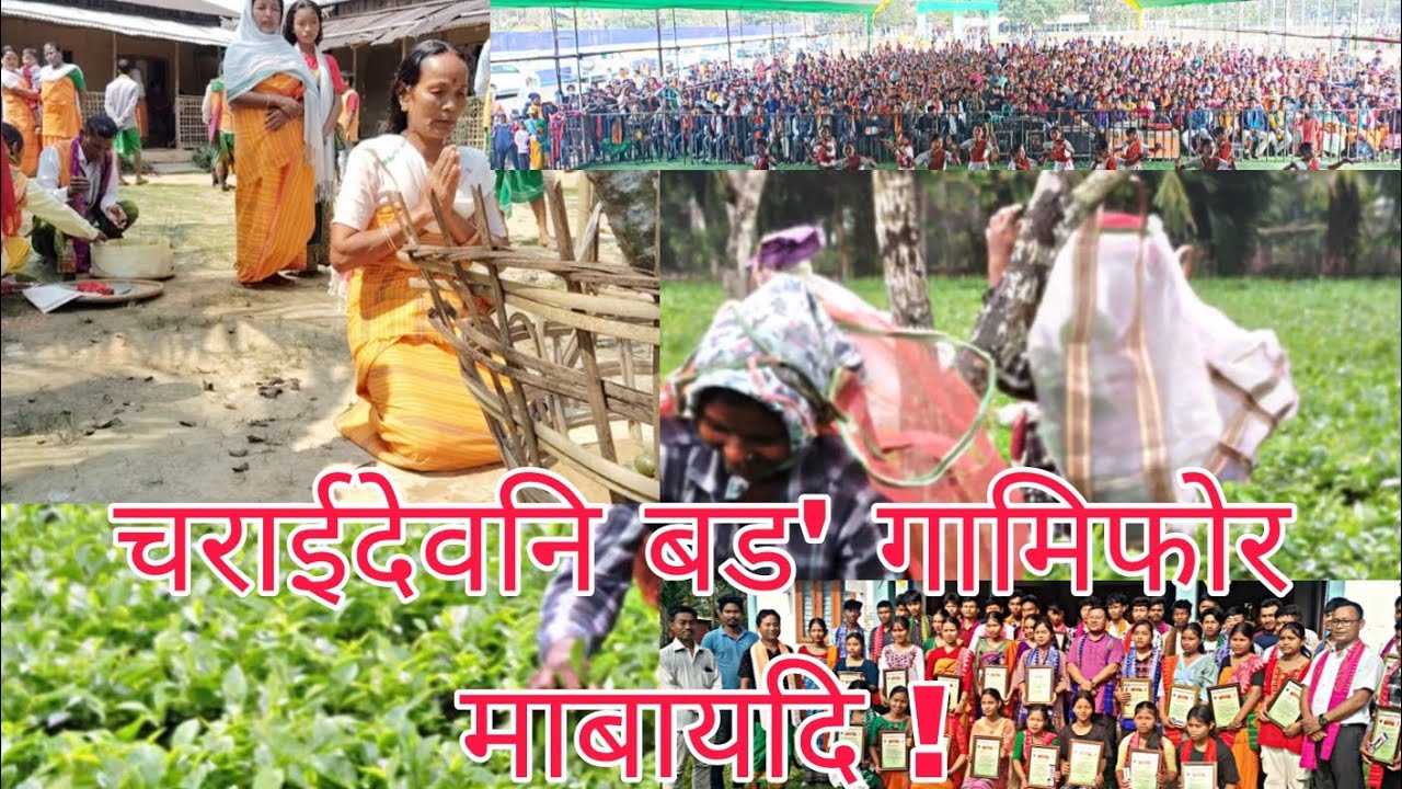 Exploring bodo villages in Charaideo district their problems and cercumtances .
