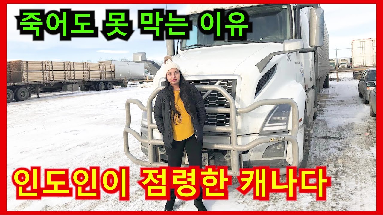 캐나다 트럭 시장까지 점령한 인도인들, 죽어도 못 막는 이유