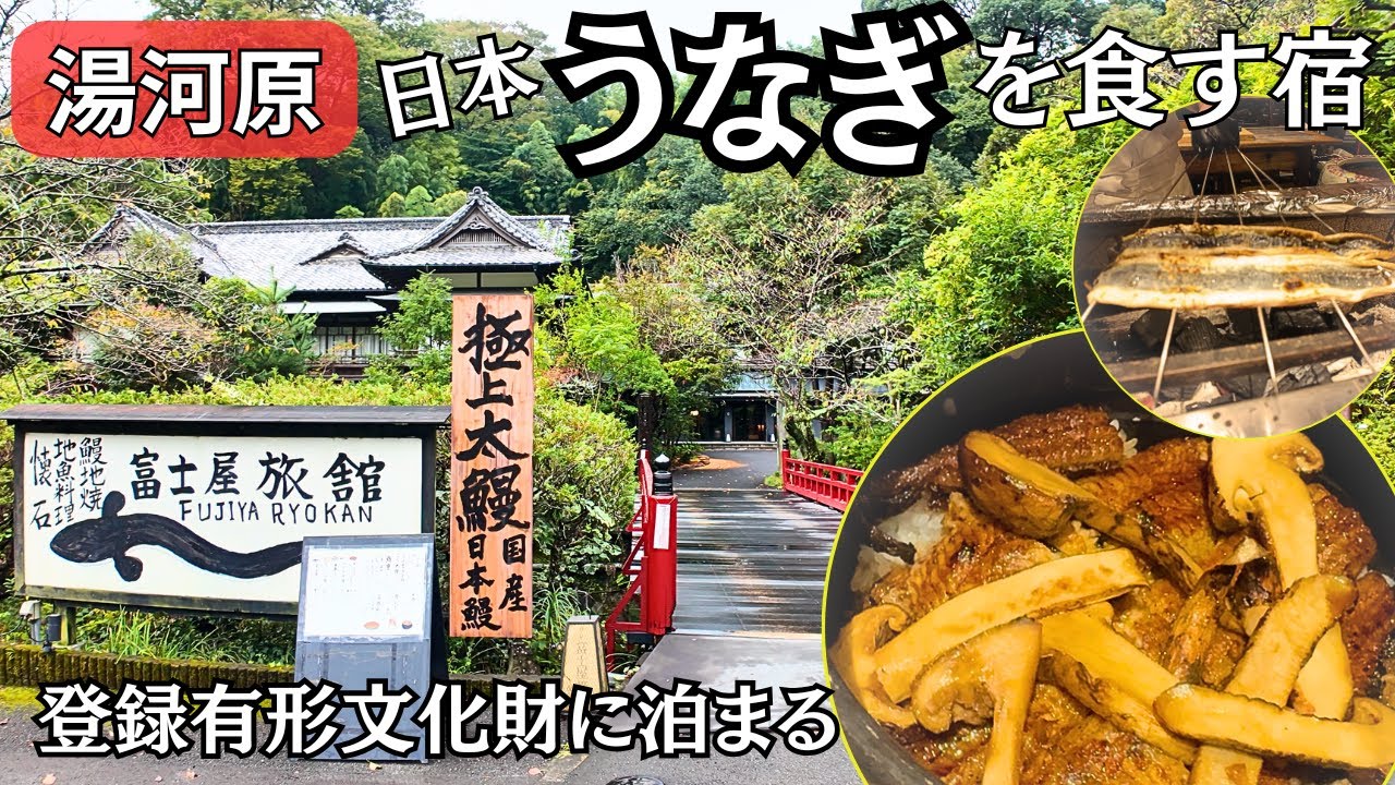 【湯河原】鰻が食べれるお宿！登録有形文化財に泊まりタイムスリップ！時間がゆっくり流れる大人な上質宿「富士屋旅館」