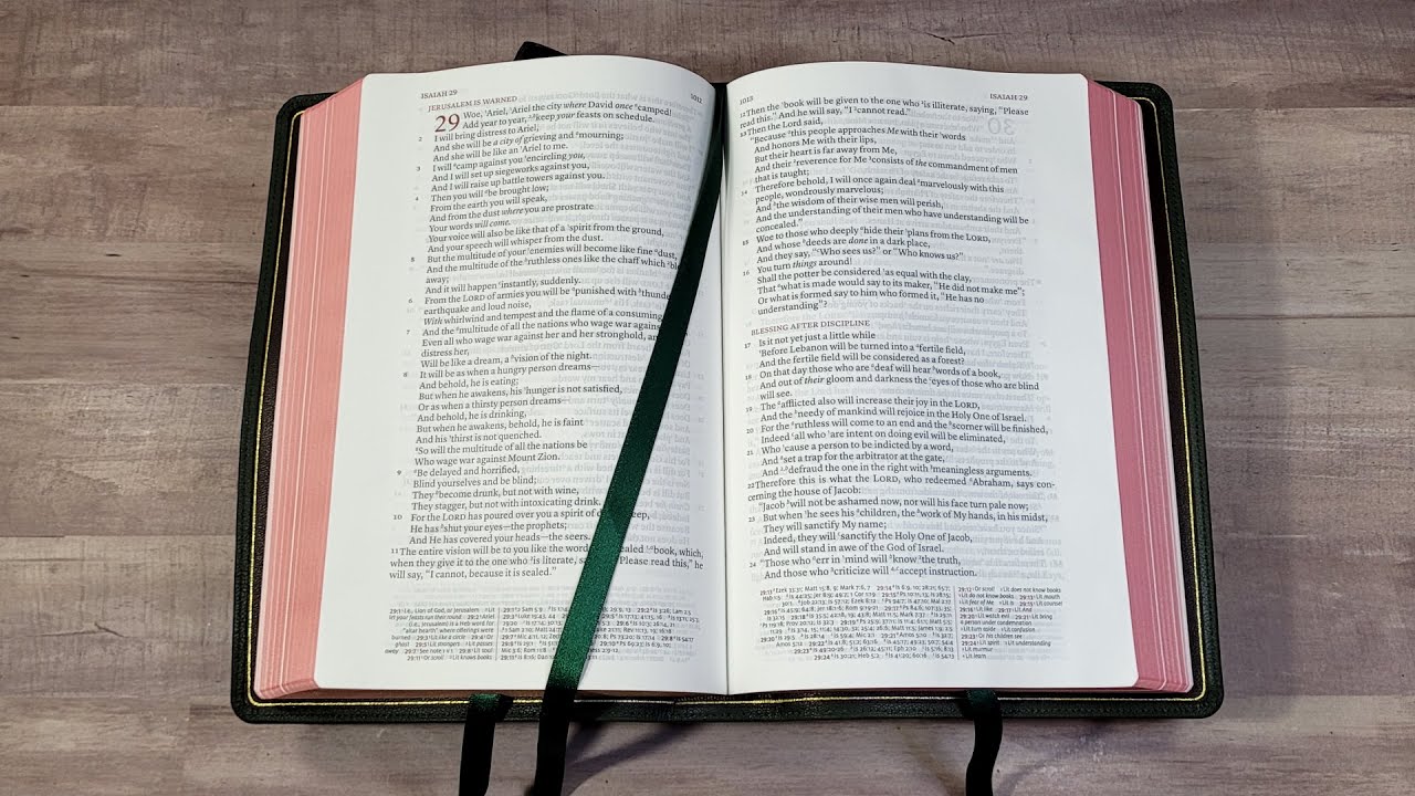 Schuyler Stridon NASB Bible Review