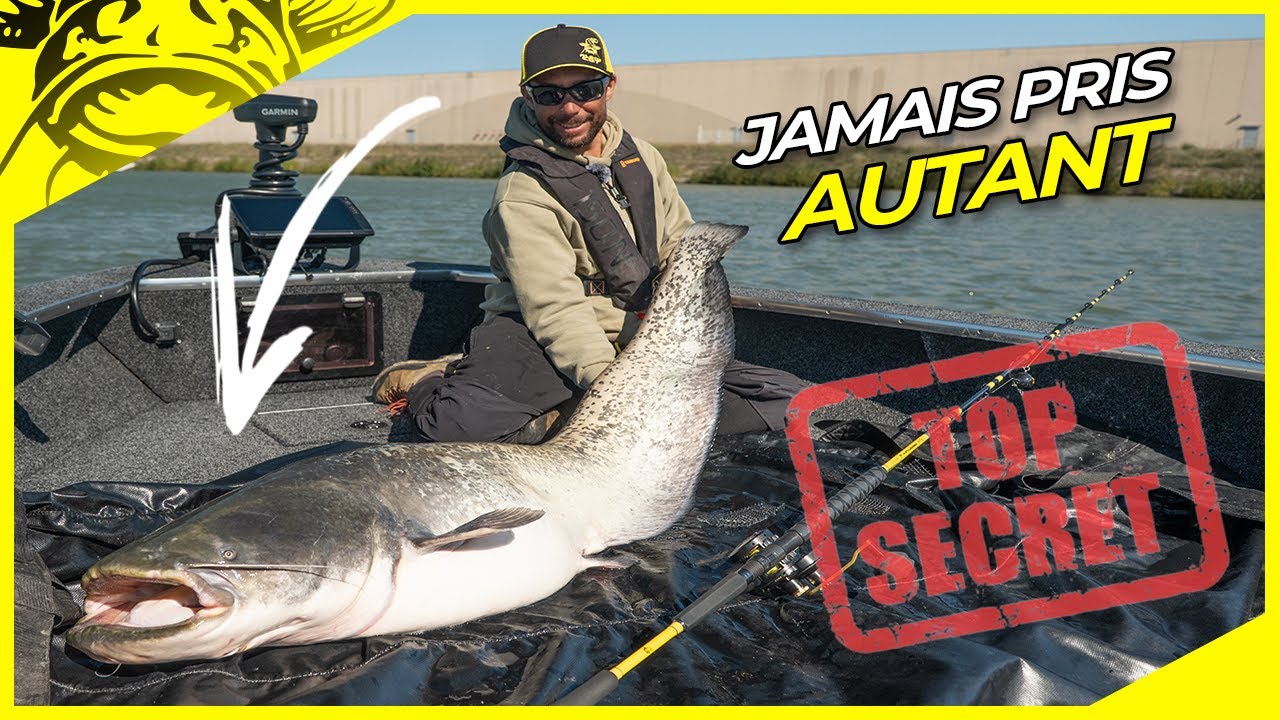 Action Non-Stop🤯 ! Silures Monstrueux en Verticale sur le Rh&ocirc;ne😎 | P&ecirc;che au Silure XXL avec Jerome