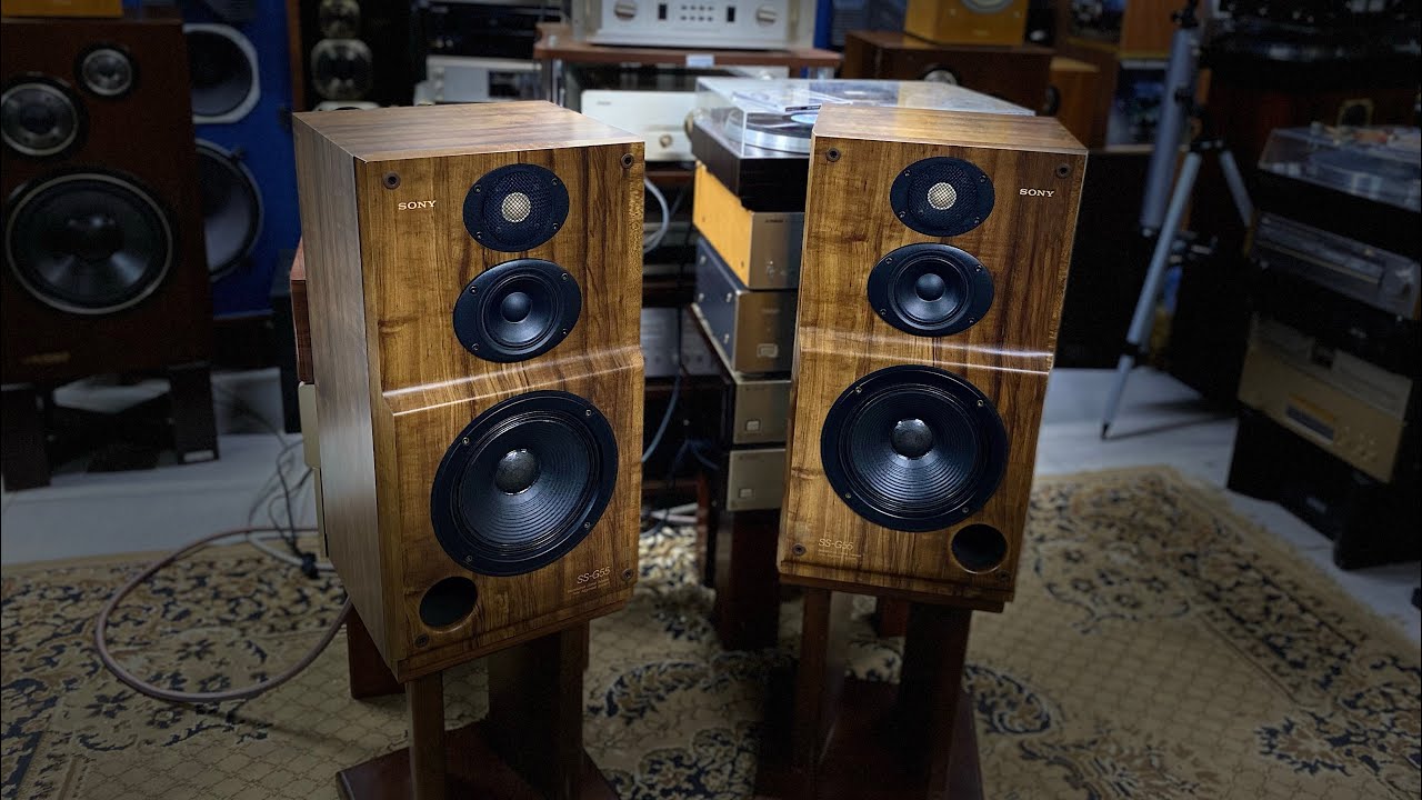 Sony ss g55 Rock and Fusion