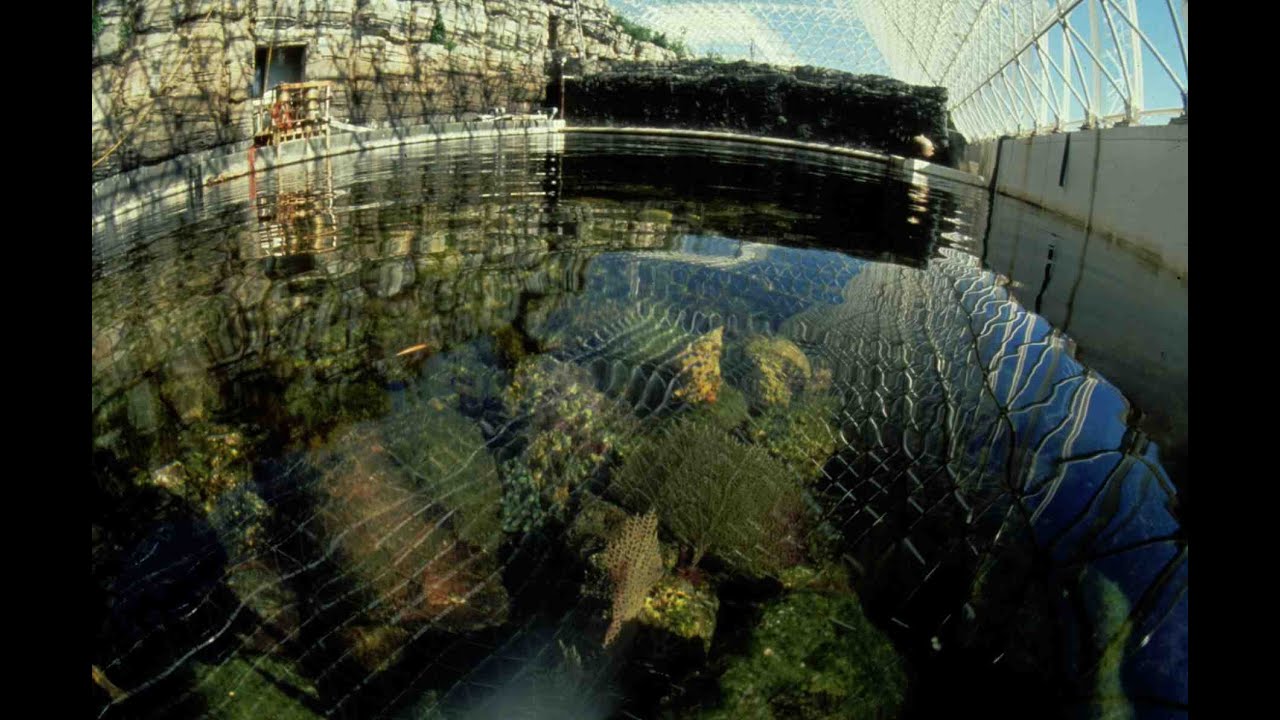 ODYSSEY IN 2 BIOSPHERES