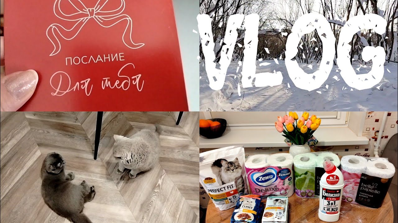 🏡VLOG💗Покупки💘👨‍💼Позднее поздравление с Днём Влюблённых💪🐱Люся Геракл