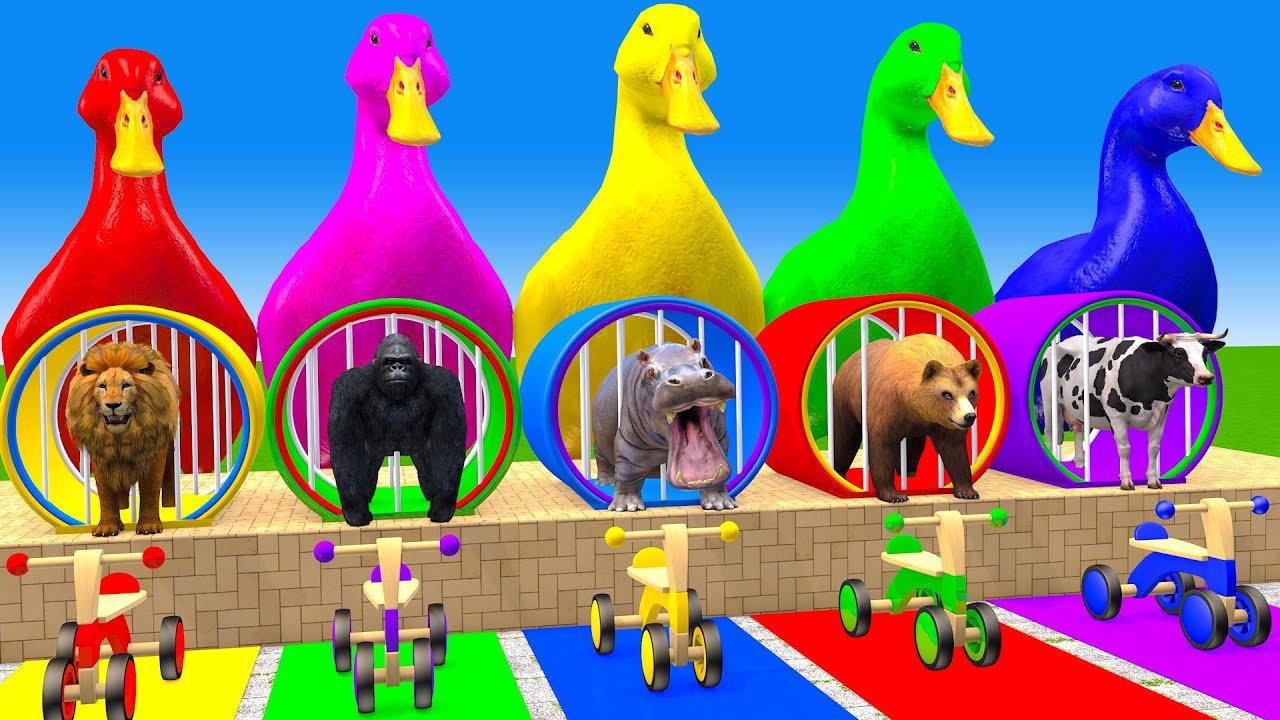 Long Slide Game With Cow Elephant Gorilla Hippopotamus Tiger 3d Animal Game Funny 3d Animals