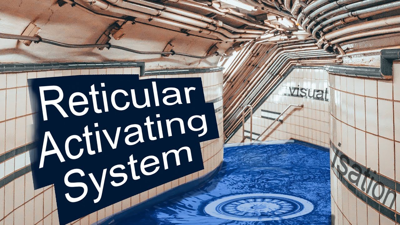 What the Reticular Activating System is  and how knowing about it can help you