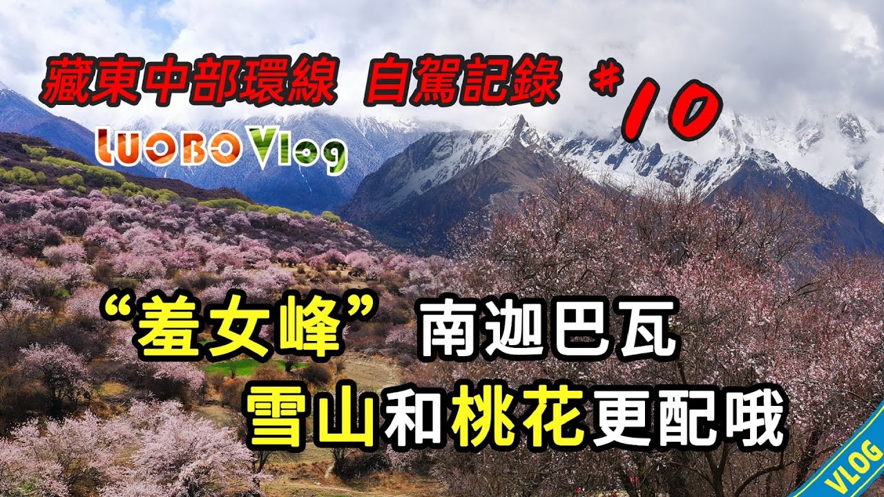 藏東中部#10：世界最美桃花大峽谷，林芝桃花為何獨一無二？“羞女”與“戰矛”，神秘而壯美的南迦巴瓦峰【隨行札記】