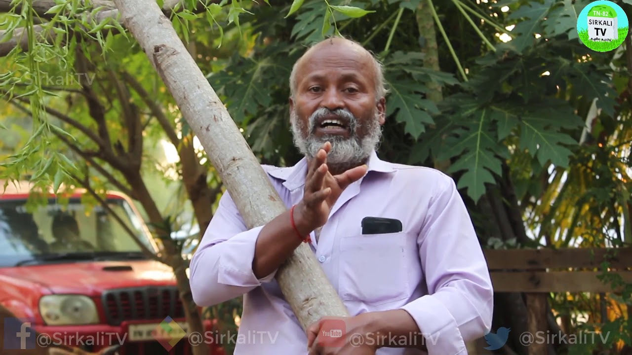 சீக்கிரம் மரம் வளர்ப்பது எப்படி? மரம் வளர்ப்பின் நன்மைகள் | How to grow tree faster | மரங்களானவன்