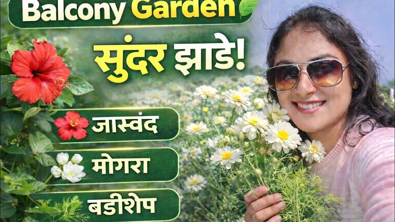 “Balcony Garden Tour 🌿 | लाल जास्वंद, मोगरा आणि बडीशेपची खास माहिती!”# homegarden# plantlover