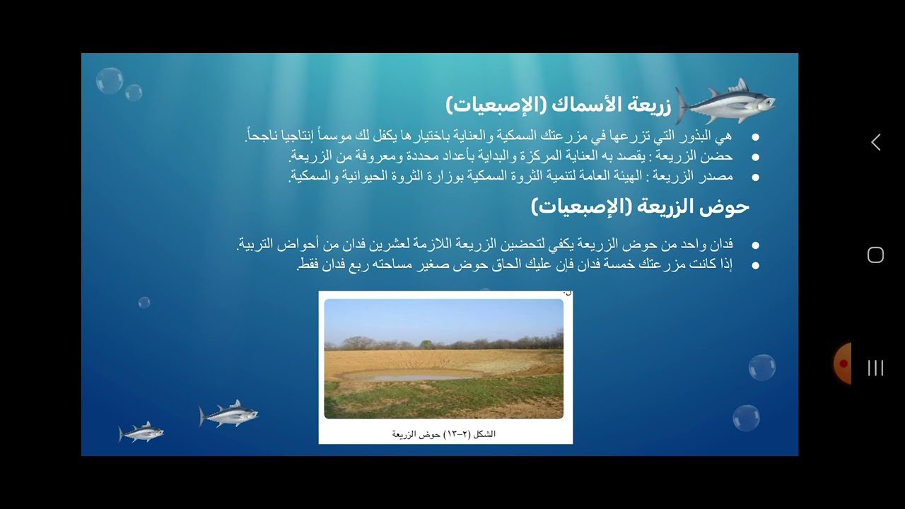 تربية الاسماك..تقنية الثاني متوسط