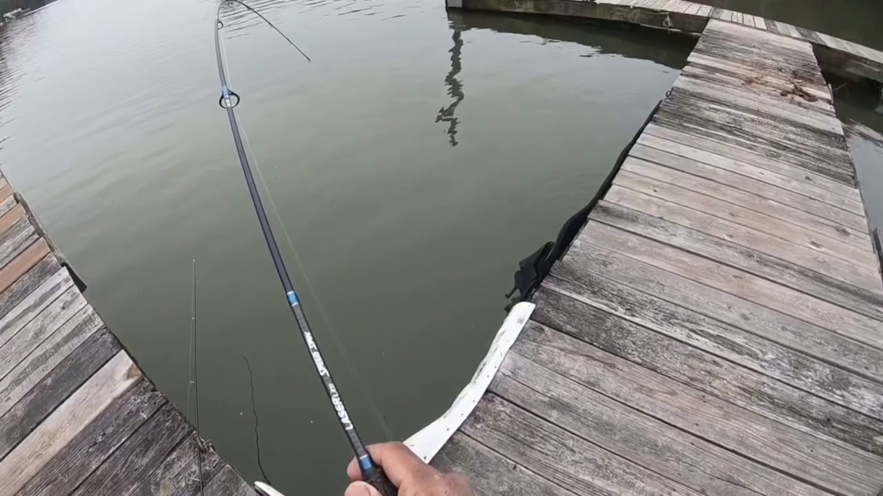 DOCK FISHING FOR CRAPPIES