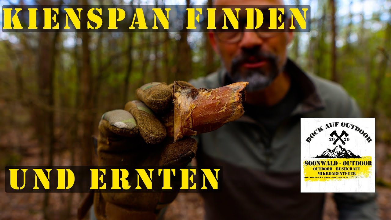 Kienspan finden und ernten I Das Gold des Waldes I Zunder Feuer Bushcraft I Bock auf Outdoor!