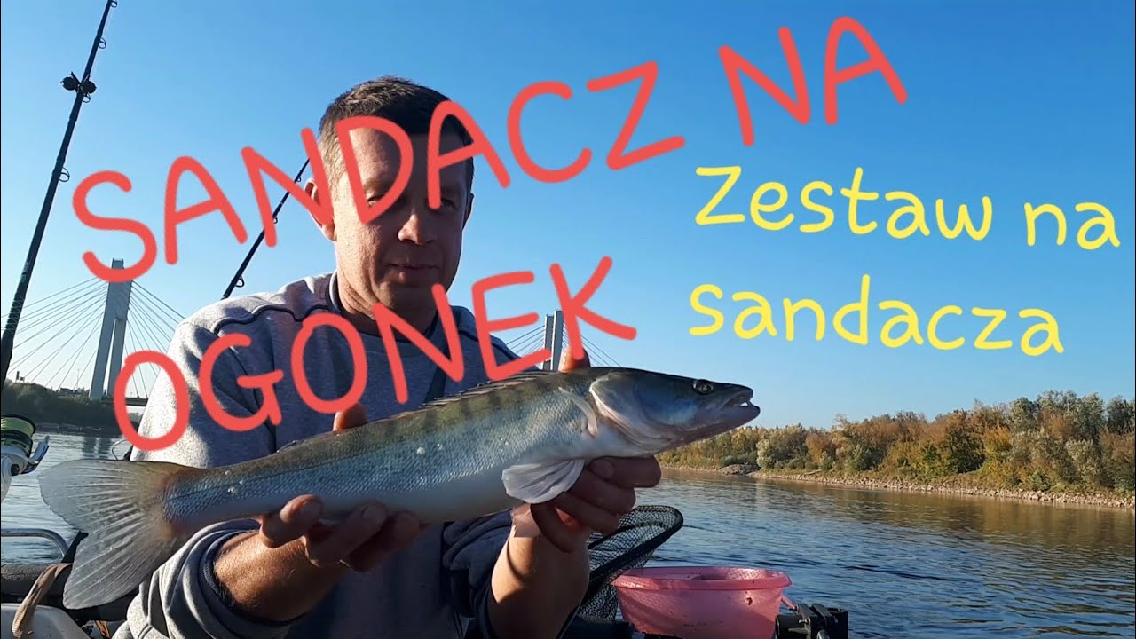 Zestaw na sandacza,sandacz na ogonek