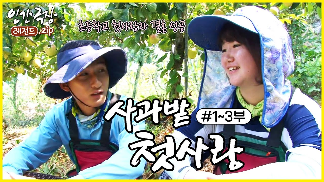 첫사랑과 결혼해 사과 농사 지어요 🍎 '사과밭 첫사랑' 1~3부 모아보기 | 인간극장 레전드.zip [KBS 방송]