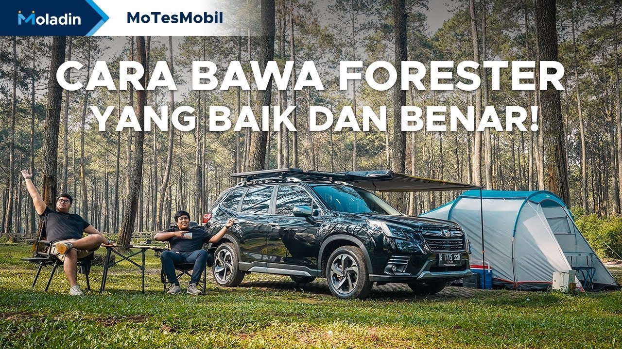 CX-5, X-Trail, dan CR-V Belum Tentu Bisa Gini! Subaru Forester Emang Beda Banget! | Moladin