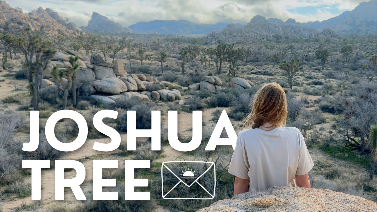 Joshua Tree National Park With Brave Kids