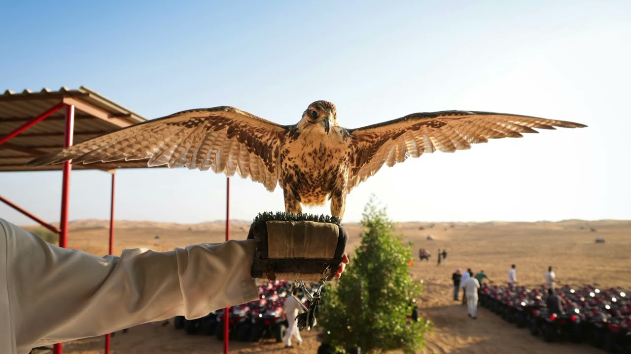 Ain Al Oqab – Touareg Desert Spirit | موسيقى توارق عين العقاب